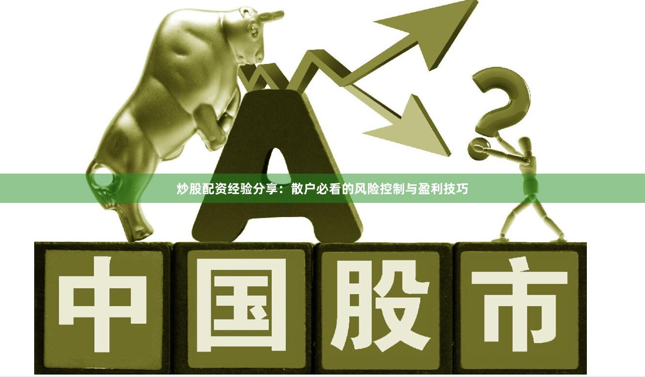 炒股配资经验分享：散户必看的风险控制与盈利技巧
